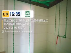 -大树装饰·十年本土家装