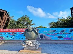 -广东惠东海龟国家级自然保护区