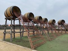 -东平国家森林公园