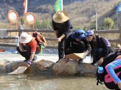 -金龙洞地下河