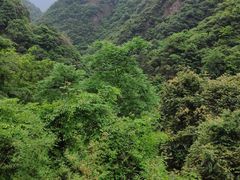 -宁波五龙潭景区