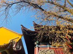 -宝通禅寺