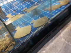 水产区-渔家大院·地道威海菜(石岛店)