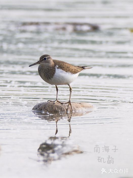 南海子公园图片