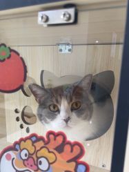 -苗医生草本科技祛痘
