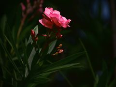-幕燕滨江·长江观音景区