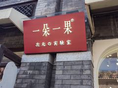 -一朵一果(南锣鼓巷店)