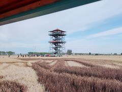 -稻梦空间冰雪小镇