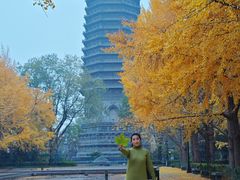-玲珑塔公园