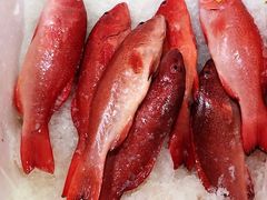 -东方国际水产中心