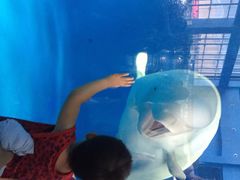 泉城海洋极地世界-泉城欧乐堡海洋极地世界