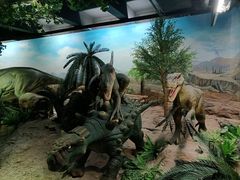 -国家自然博物馆