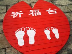 -龙口南山旅游景区