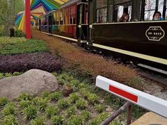 -合肥滨湖国家森林公园