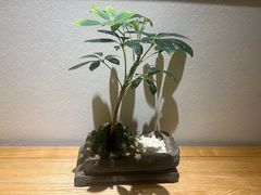 -成都锦城原舍酒店(锦里武侯祠店)