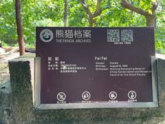-都江堰中华大熊猫苑