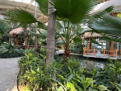 -南宫五洲植物乐园