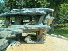 -北京野生动物园