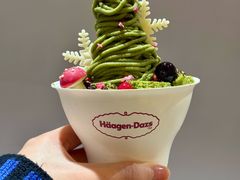 -哈根达斯(大洋百货店)