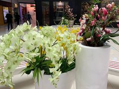 -味多美(望京店)
