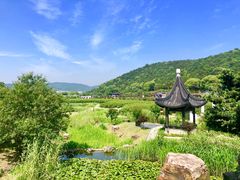 -龙寺生态园