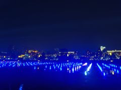 -大雁塔北广场音乐喷泉