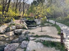 -大连植物园