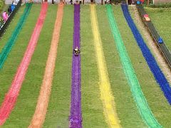 游乐设施-梦幻奥陶纪景区