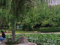 -郑东新区湿地公园