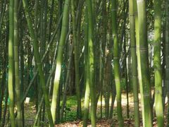 -兰亭风景区