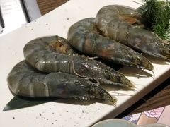 -樱宿日式和牛烧肉(五道口店)