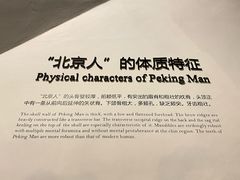 -北京周口店北京人遗址博物馆
