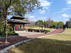 -大宁公园