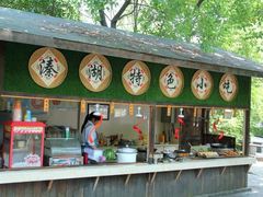 -溱湖国家湿地公园