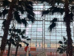 -中国死海旅游度假区