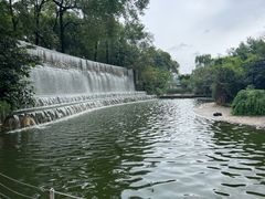 -成都动物园