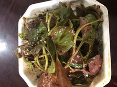 拌折耳根-梯坎豆花