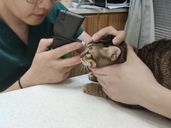 -御宝贝24h宠物医院·转诊中心·CT核磁血透中心(厦门总院)
