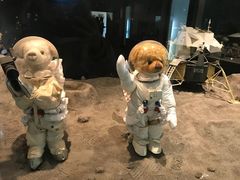 -济州岛泰迪熊博物馆