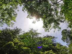 -浙北大峡谷