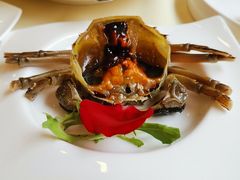 -王宝和酒家(黄浦店)