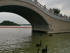 -天津东丽湖风景区