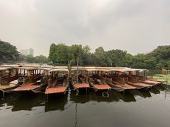 -荔湾湖公园