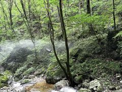 -牛背梁国家森林公园