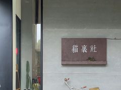 -猫里有甜