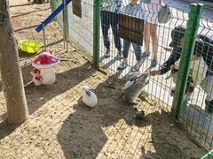 -三亚海棠湾万丽度假酒店