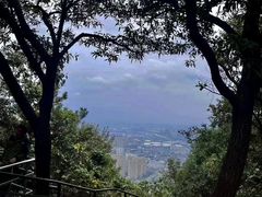 -惠山国家森林公园
