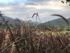-白石龙音乐公园