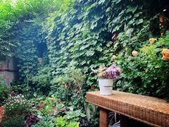 -斯多格书乡(北京大学畅春园店)