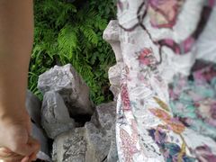 -南京市民俗博物馆(甘熙故居)